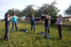 Pferdetraining auf dem Islandpferdehof