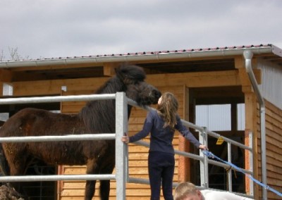 Die Pferdepension für alle Pferderassen auf dem Islandpferdehof Domäne in Fröttstädt